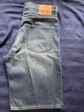 Levi's Men's Dark Blue Straight-Leg Jeans shorts